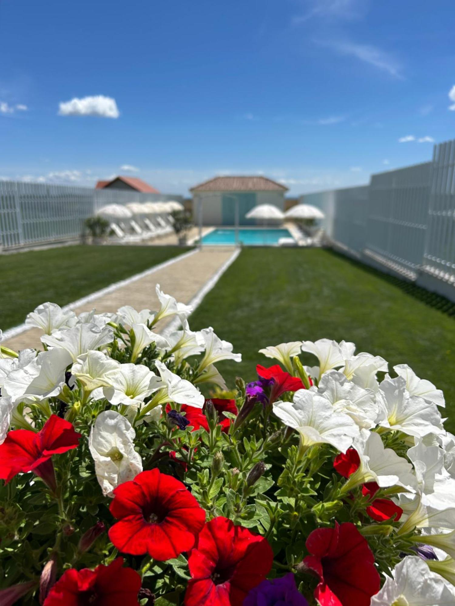 Alma Rezidence Bed and Breakfast Τούρντα Εξωτερικό φωτογραφία